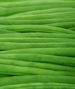 fresh vegetables - green beans